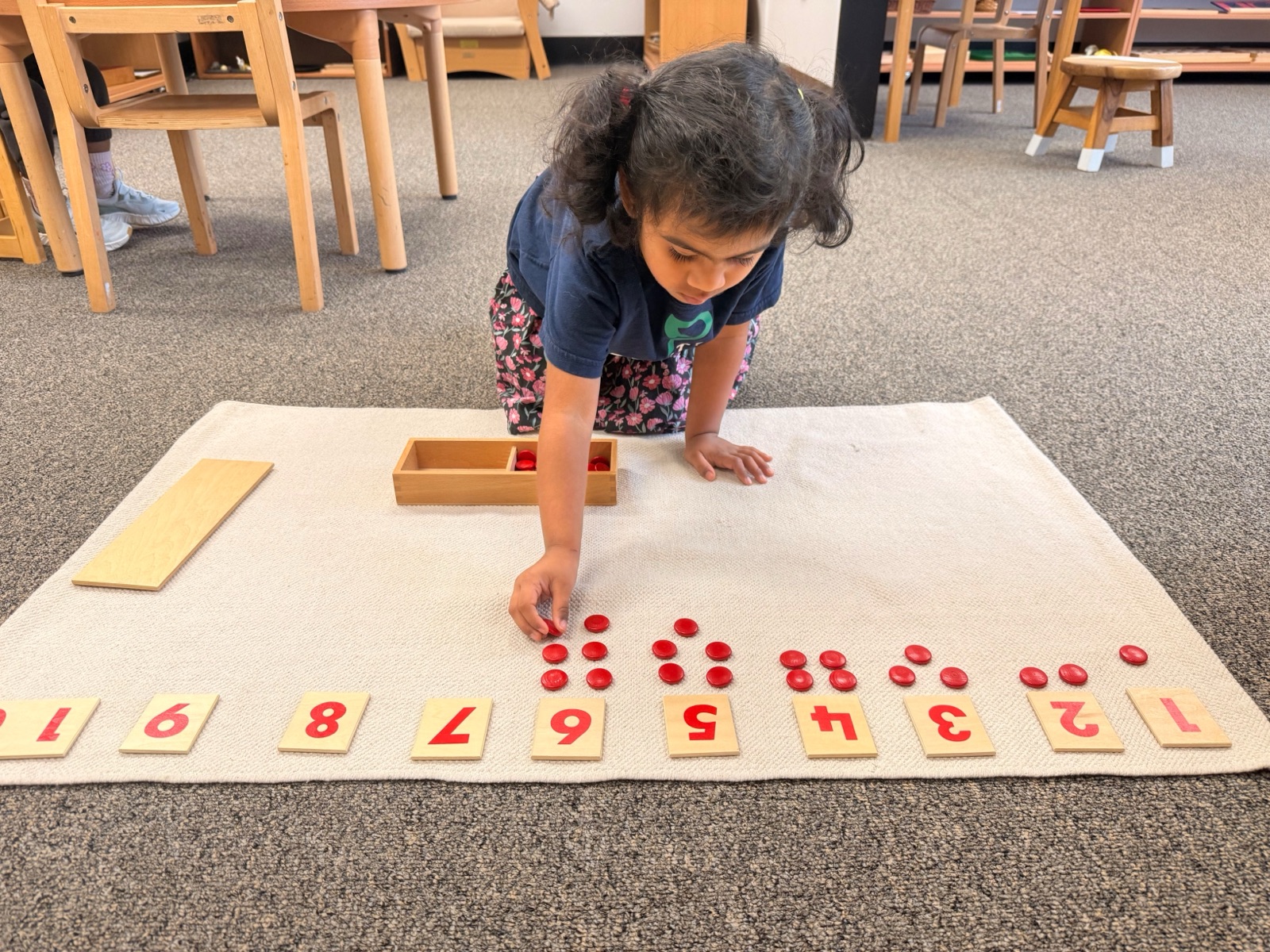 child counting with number cards and counters